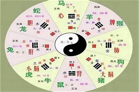 語五行|语字的五行属性